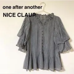 ナイスクラップ ギンガムチェック プリーツブラウス フリル袖 シフォン