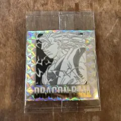 シラトリ様 リクエスト 2点 まとめ商品