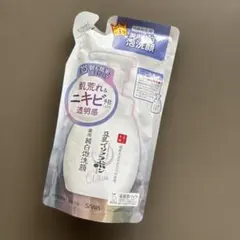SANA なめらか本舗　豆乳イソフラボン　薬用純白泡洗顔　つめかえ用180mlのサムネイル