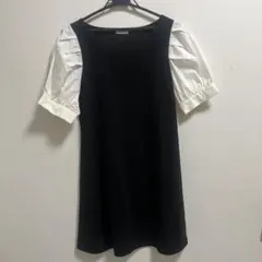 ワンピース INGNI