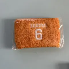 INI 尾崎匠海 リストバンド カプセルトイ