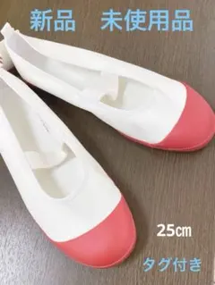ムーンスター　上履き　25センチ