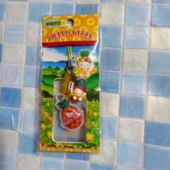 【激レア】ハローキティ　フルーツバージョン　パイナップル　パイン　ストラップ ハローキティ パイナップル ストラップ ハワイ限定 ハローキティ