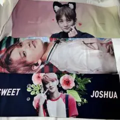 SEVENTEEN　ジョシュア　スローガンセット