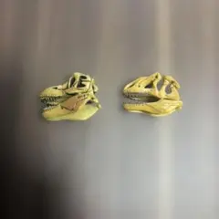 チョコラザウルス　頭角のサムネイル