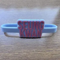 2026年最新】seventeen ペンライト アクセサリーの人気アイテム - メルカリ