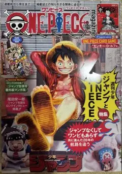 ビニールカバー付き ワンピースマガジンvol.20 新品未開封 - メルカリ