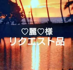 ♡麗♡様 リクエスト品 他ユーザー様はご購入出来ません！