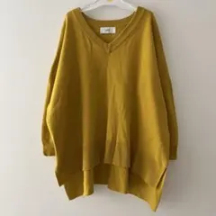 レディース AZUL 長袖 ニット Vネック イエロー系 Sサイズ