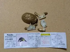 チョコエッグ ヤエヤマセマルハコガメ ゴールドのサムネイル
