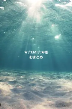 ★☆EMI☆★様 おまとめ