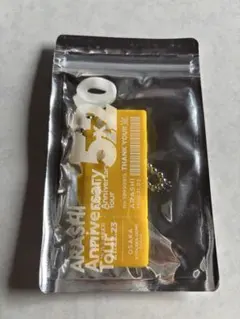 嵐　5×20 アクリルプレート　キーホルダー 黄色 二宮和也