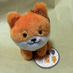 Item thumbnail for item 09856124-adc2-4ea4-9eb8-db3792d683a6