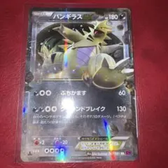 バンギラスEX 042/081 RR XY7 バンデットリング 1ed - メルカリ