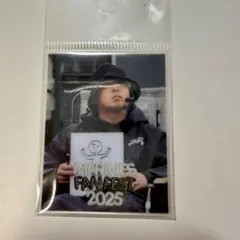 2026年最新】田村龍弘の人気アイテム - メルカリ