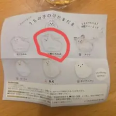 うちの子のけだまだま 三角たれみみ