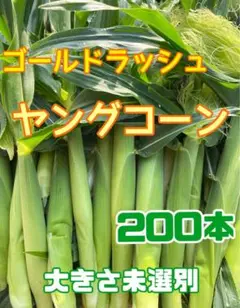 2026年最新】ヤングコーン皮付きの人気アイテム - メルカリ
