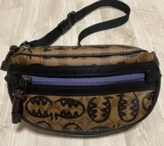 限定品‼️❤️COACH❤️レキシー サーフィン お財布 ショルダーバッグ 2025年最新】coach レキシー 財布の人気アイテム - メルカリ