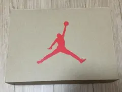 エア ジョーダン air jordan 6 セールスマン インフラレッド 27