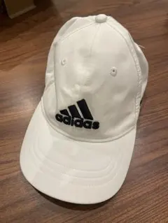 Item thumbnail for item 91f9ca97-cea0-451d-8db7-5a7bcd3c900a