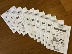 2026年最新】デイリーチェック サピックスの人気アイテム - メルカリ