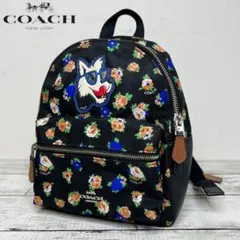 2026年最新】coach リュック シグネチャーの人気アイテム - メルカリ