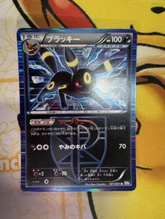 ☆極美品☆ブラッキー R BW8 ライデンナックル 031/051 希少 - メルカリ