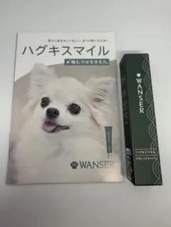 WANSER ハグキススマイル 口腔ジェル 30mlのサムネイル