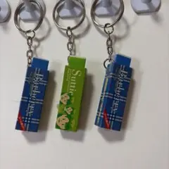 パロッテライトキーホルダー 3個セット