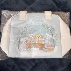 ディズニーシー ホワイトウィンタータイムワンダーズ スーベニアランチケース