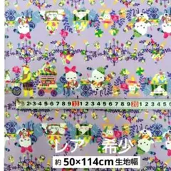 レア　希少　ポチャッコ　サンリオ　ホラグチカヨ　オックス　生地　50×114cm