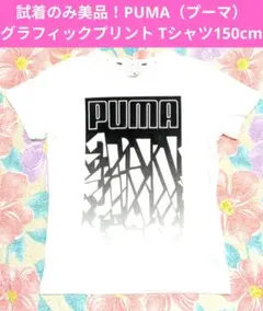 試着のみ美品！PUMA グラフィックプリントTシャツ 150cm