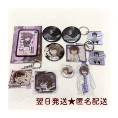 【最終値下げ★未使用品】名探偵コナン 缶バッジ ストラップ 他 灰原哀 11点