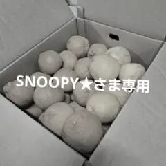 SNOOPY★さま専用です