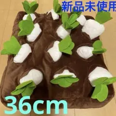 Item thumbnail for item c6929de2-4c0c-400c-864e-bc3f74c4a7c4