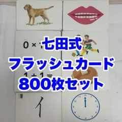 七田式 フラッシュカード 800枚セット 七田式フラッシュカードおためしセット【フラッシュカード】 | 七田式