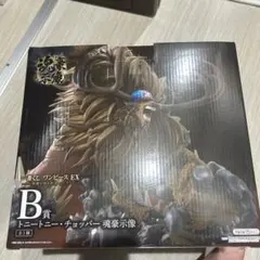 ワンピース一番くじB賞トニートニー・チョッパー