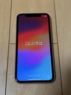 Apple iPhone 11 本体