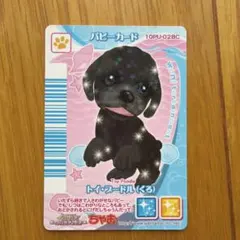 2026年最新】ワンタメカードの人気アイテム - メルカリ