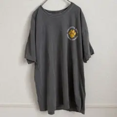 USA古着 COMFORT COLORS 両面プリント Tシャツ アメカジのサムネイル