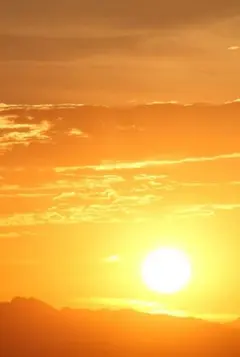 piiichan24様 リクエスト ⭐4点 ⭐まとめ商品