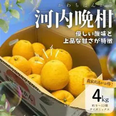 超訳あり 和歌山県産 レモン 40kg サイズ混合 れもん 檸檬 みかん ありだ 超訳ありのお得なレモンです!】和歌山産 混合 4kg 超訳あり れもん7