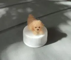 羊毛フェルト 犬 トイプードル ミニチュアのサムネイル