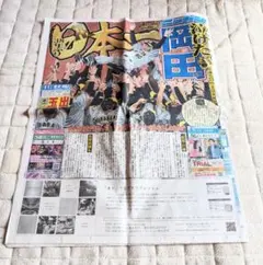 2023年 阪神タイガース 日本一 日刊スポーツ　ニッカン　スポーツ新聞　関西版のサムネイル