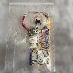 ご当地キティ 根付け わさお
