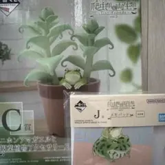 一番くじ　爬虫類&両生類