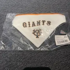 Item thumbnail for item 0574ada6-10e5-4485-9bee-2b4772af4bb8