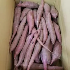サツマイモ 茨城県産 紅あずま 箱含む5キロのサムネイル