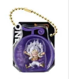 ワンピの実 ギア5