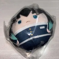 鬼滅の刃 ふわコロりん6 時透無一郎 ぬいぐるみ マスコット